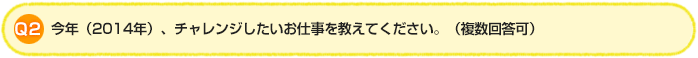 Q2.今年（2014年）、チャレンジしたいお仕事を教えてください。（複数回答可）